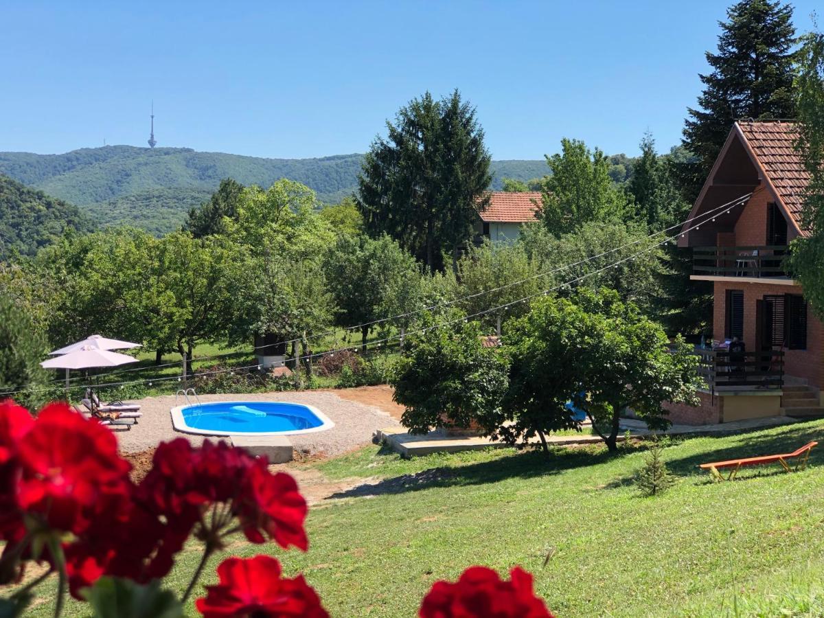 Villa Fruska Pool House Sremska Kamenica Esterno foto