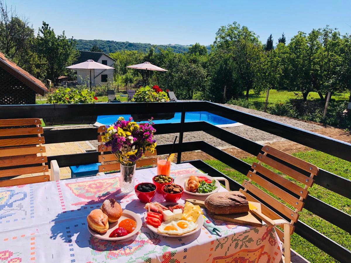 Villa Fruska Pool House Sremska Kamenica Esterno foto