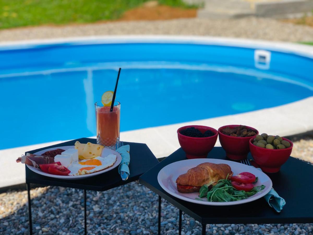 Villa Fruska Pool House Sremska Kamenica Esterno foto
