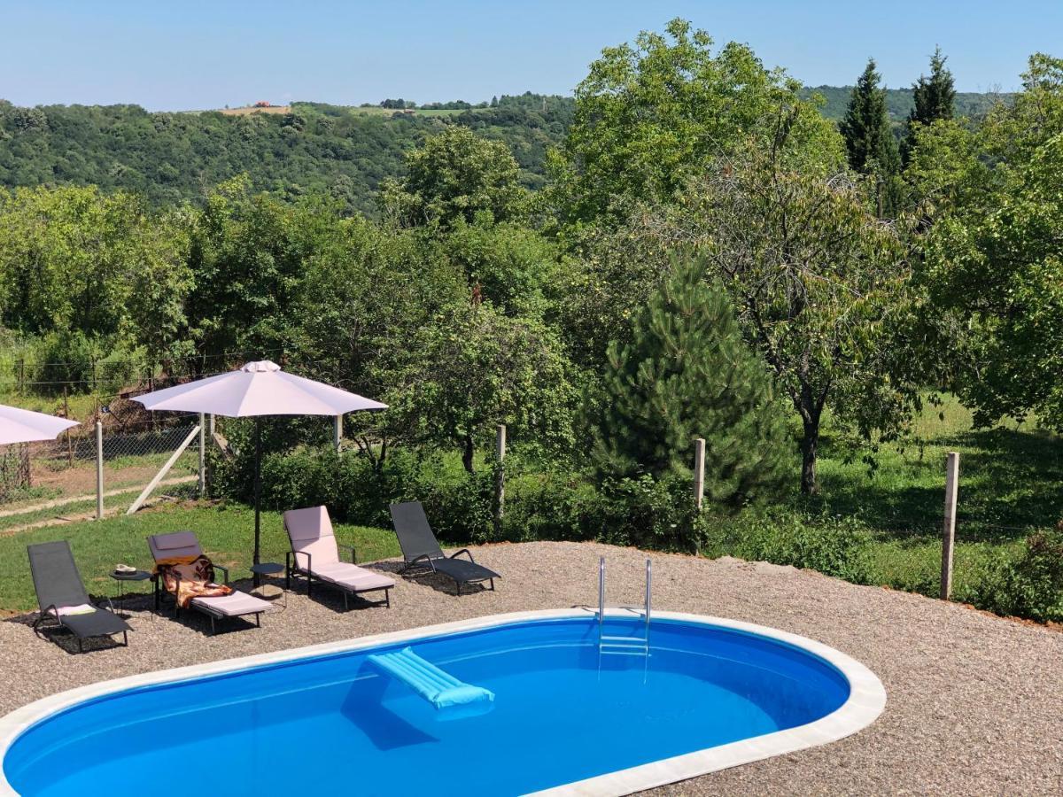 Villa Fruska Pool House Sremska Kamenica Esterno foto