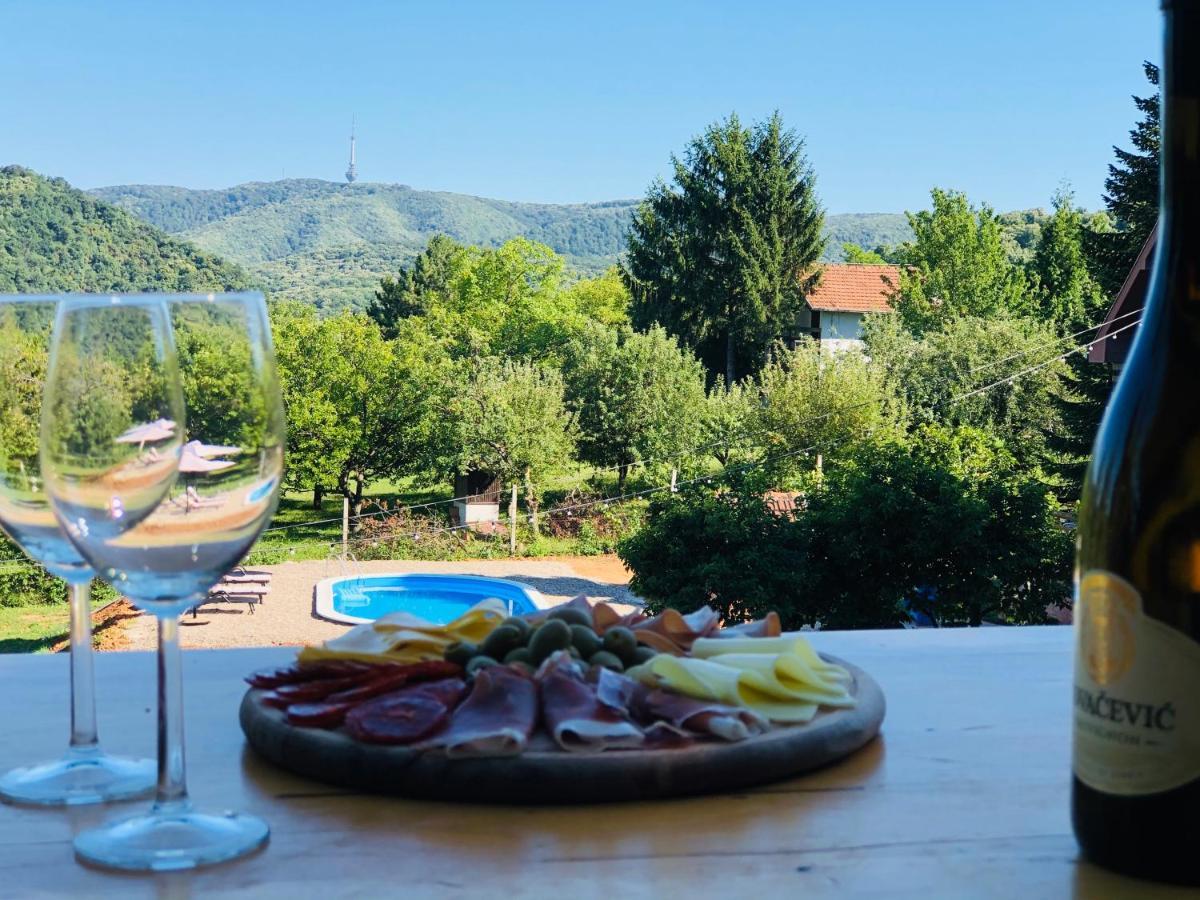 Villa Fruska Pool House Sremska Kamenica Esterno foto