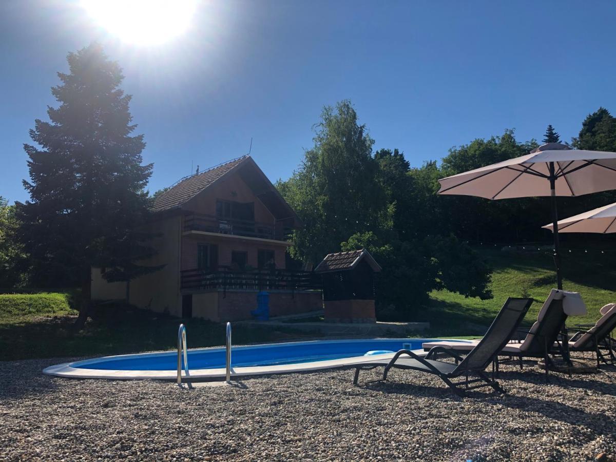 Villa Fruska Pool House Sremska Kamenica Esterno foto