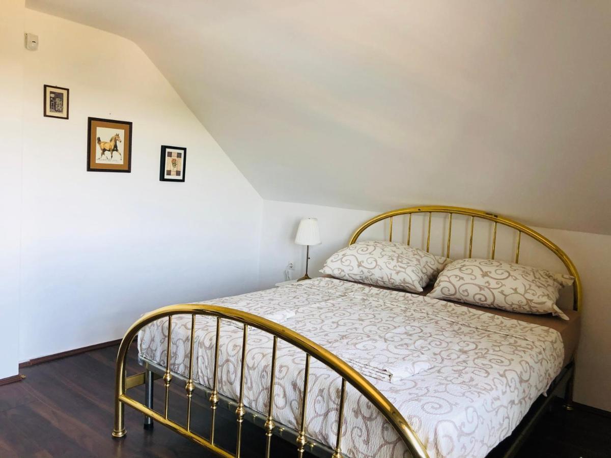 Villa Fruska Pool House Sremska Kamenica Esterno foto