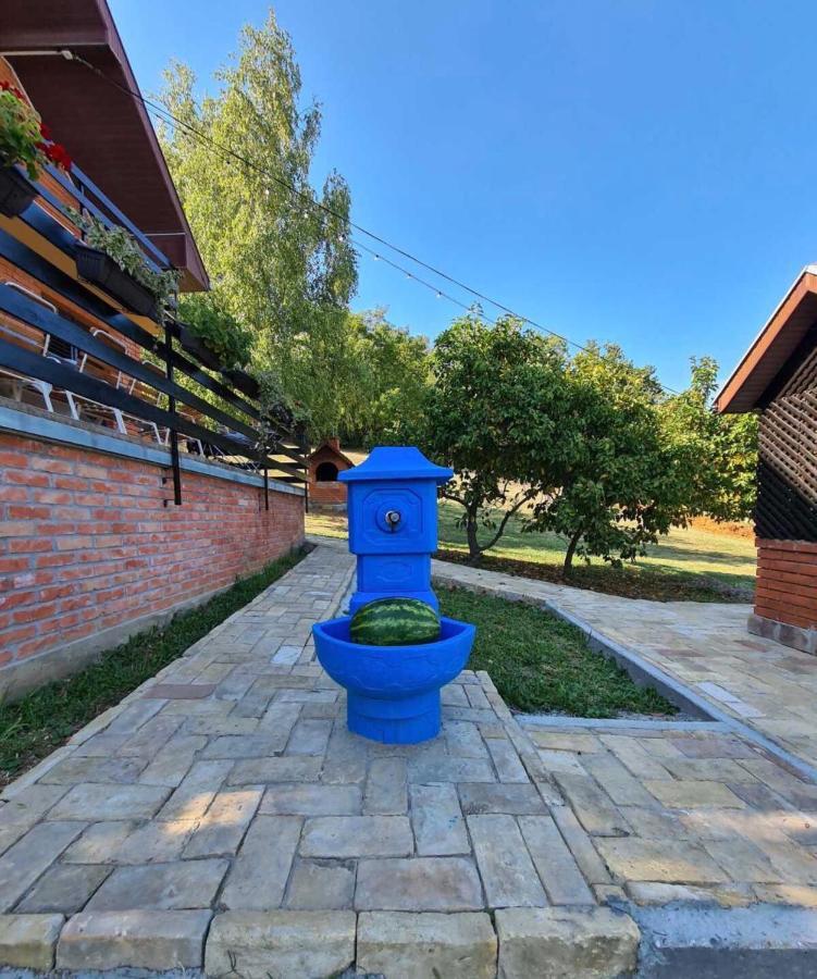 Villa Fruska Pool House Sremska Kamenica Esterno foto