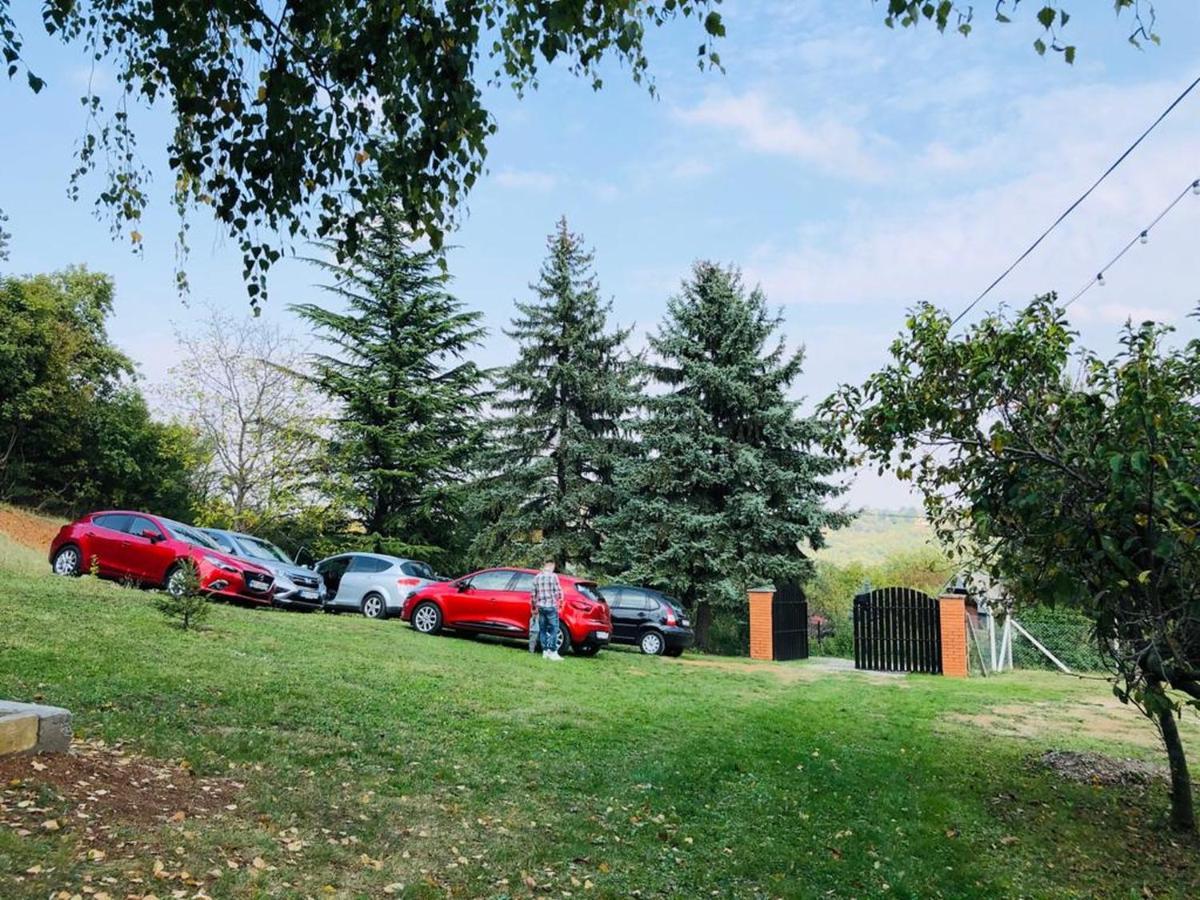 Villa Fruska Pool House Sremska Kamenica Esterno foto