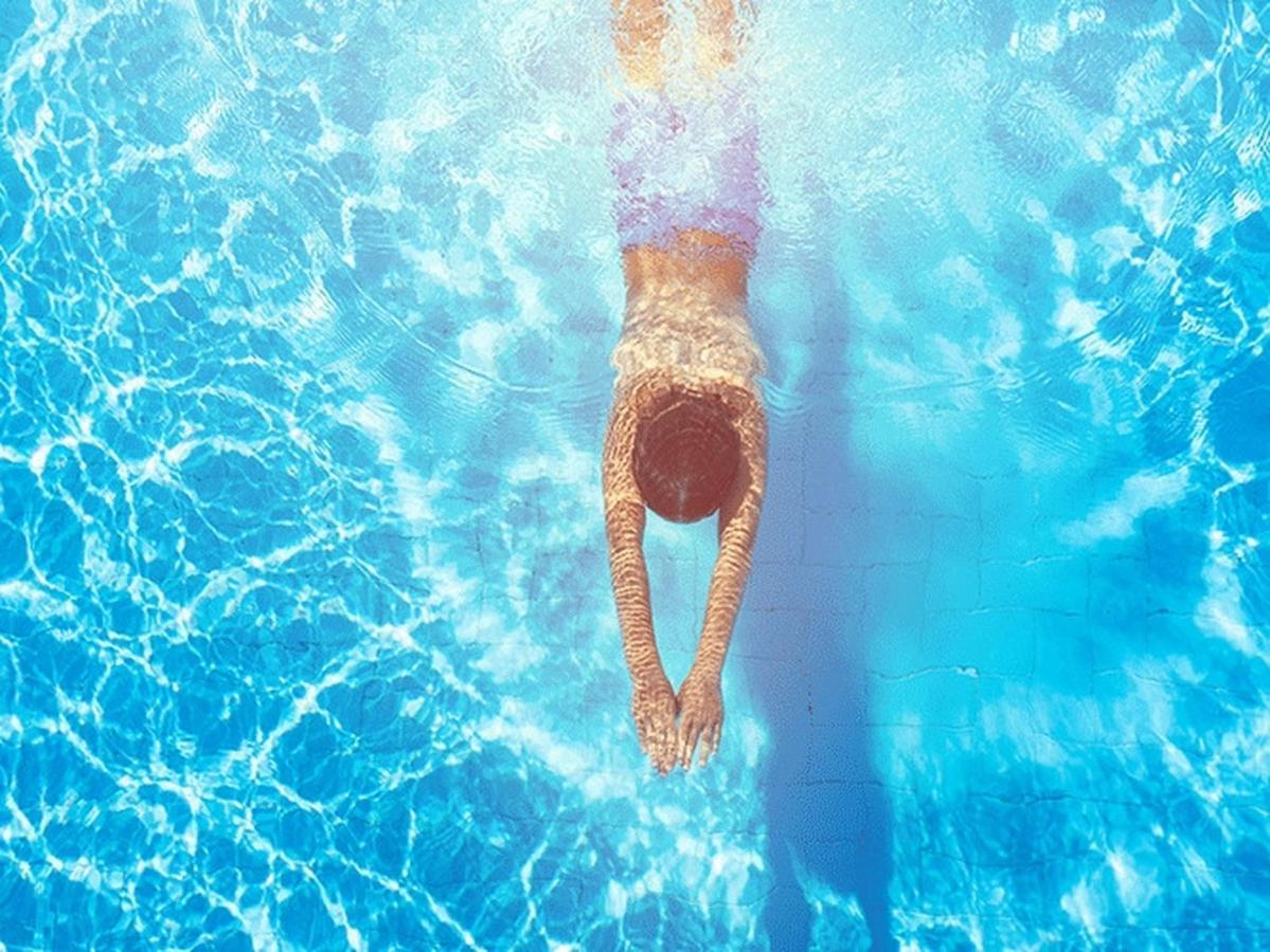 Villa Fruska Pool House Sremska Kamenica Esterno foto