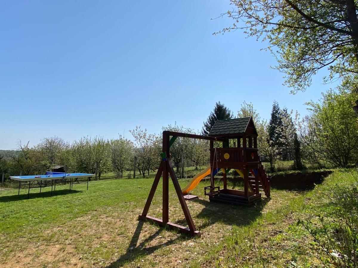 Villa Fruska Pool House Sremska Kamenica Esterno foto
