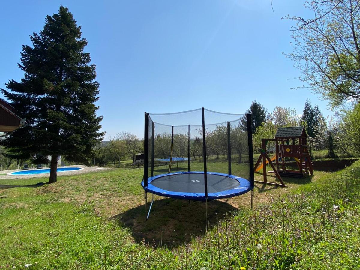 Villa Fruska Pool House Sremska Kamenica Esterno foto