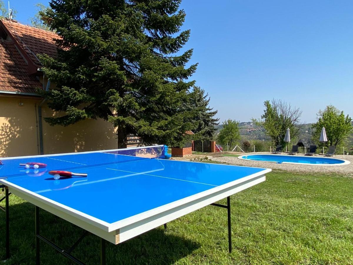 Villa Fruska Pool House Sremska Kamenica Esterno foto