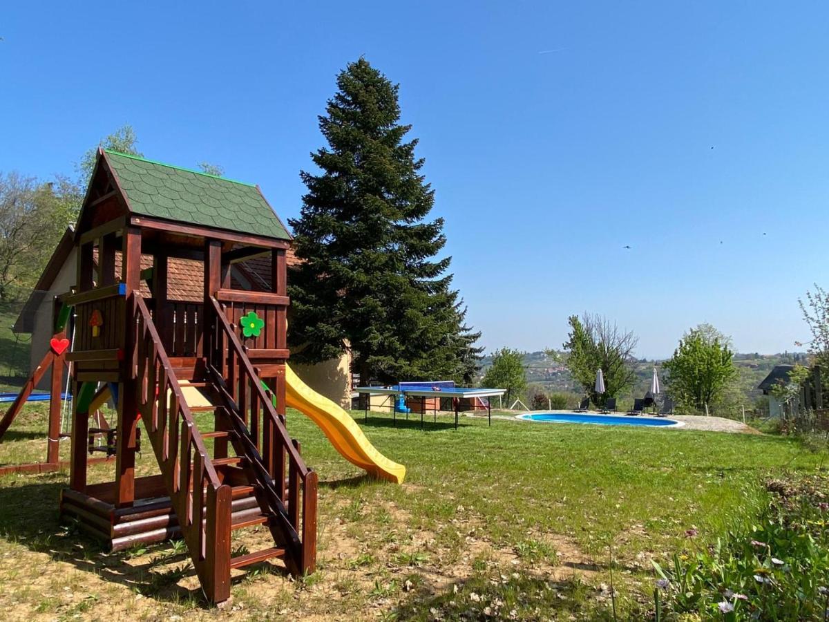 Villa Fruska Pool House Sremska Kamenica Esterno foto