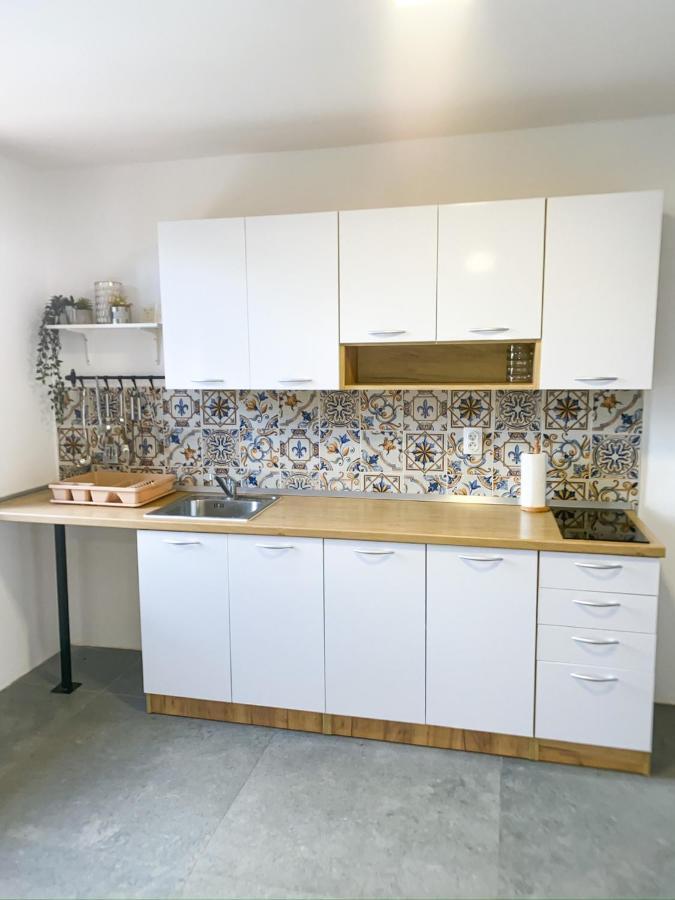 Villa Fruska Pool House Sremska Kamenica Esterno foto