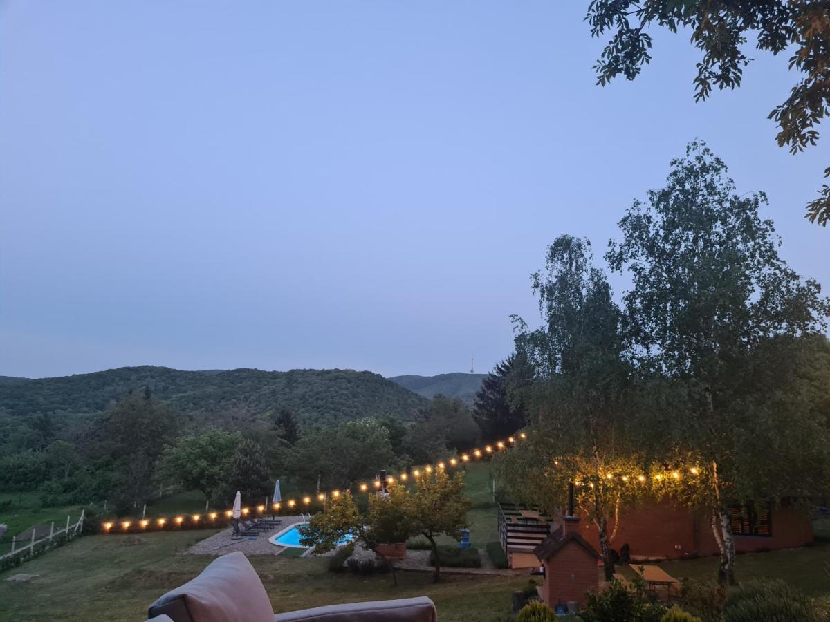 Villa Fruska Pool House Sremska Kamenica Esterno foto