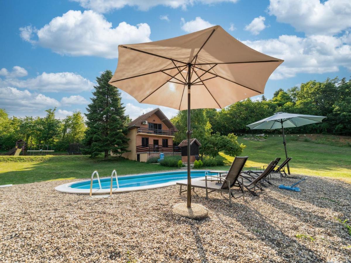 Villa Fruska Pool House Sremska Kamenica Esterno foto