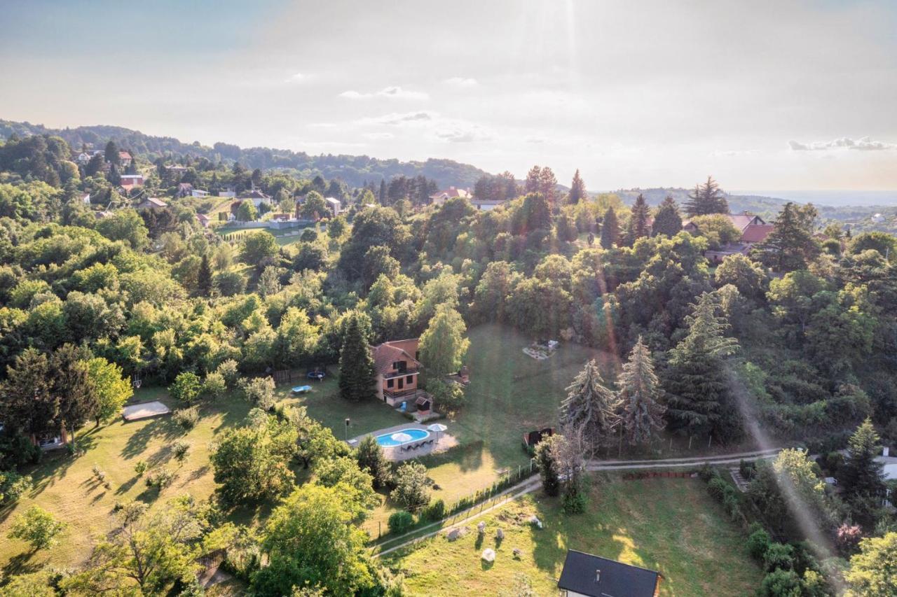 Villa Fruska Pool House Sremska Kamenica Esterno foto