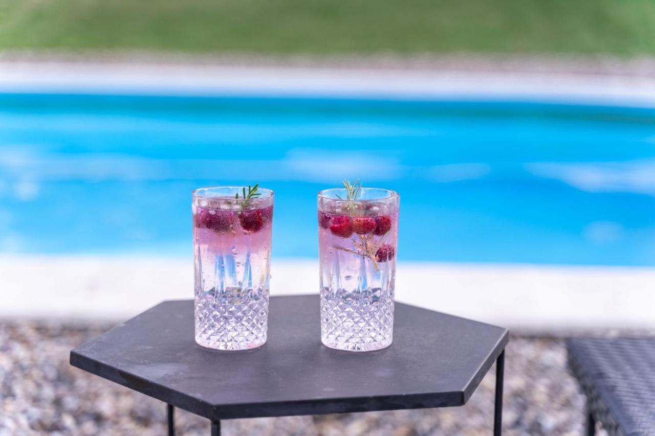 Villa Fruska Pool House Sremska Kamenica Esterno foto