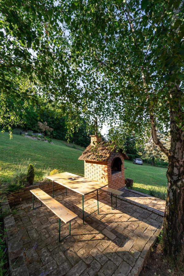 Villa Fruska Pool House Sremska Kamenica Esterno foto