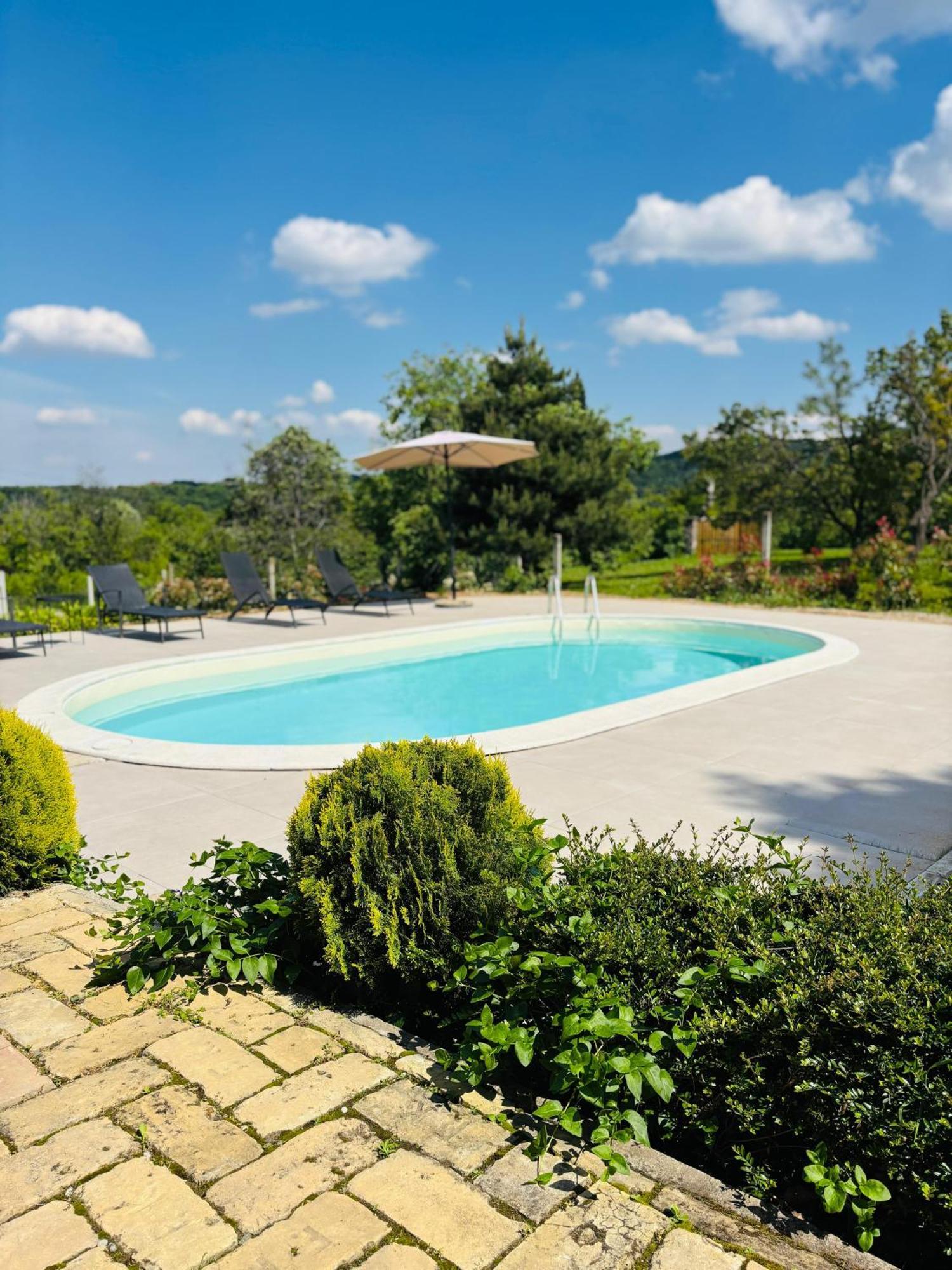 Villa Fruska Pool House Sremska Kamenica Esterno foto