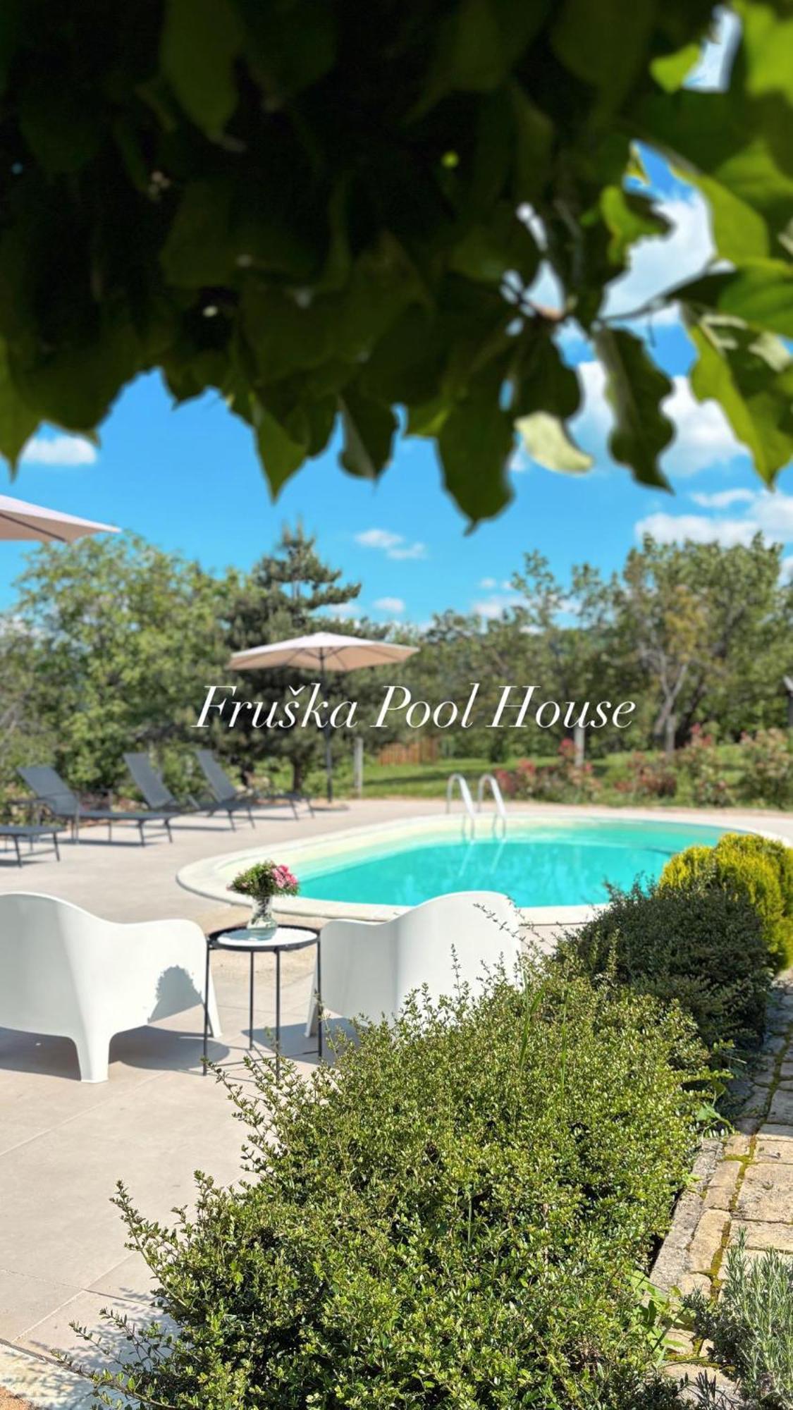 Villa Fruska Pool House Sremska Kamenica Esterno foto