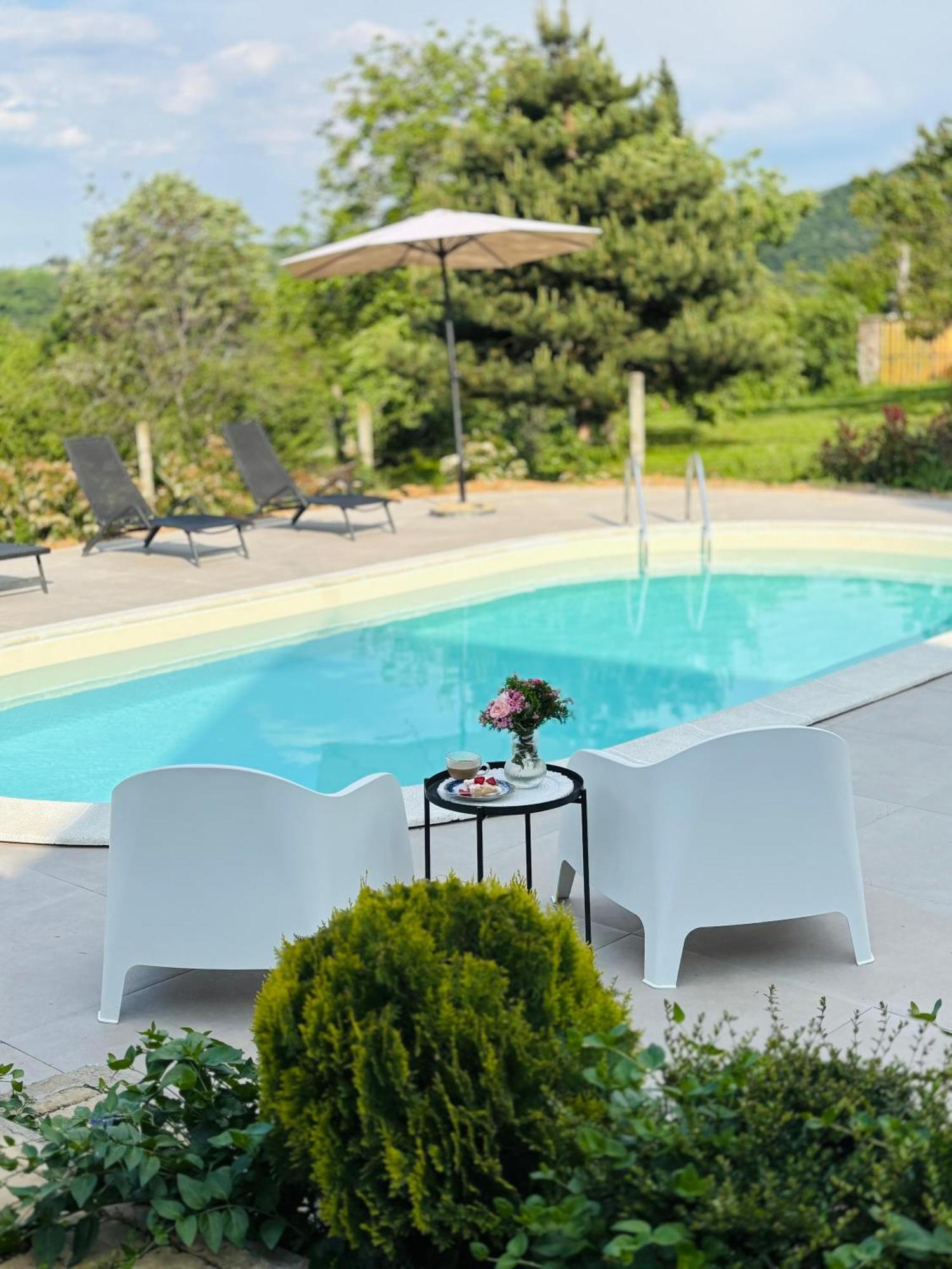 Villa Fruska Pool House Sremska Kamenica Esterno foto