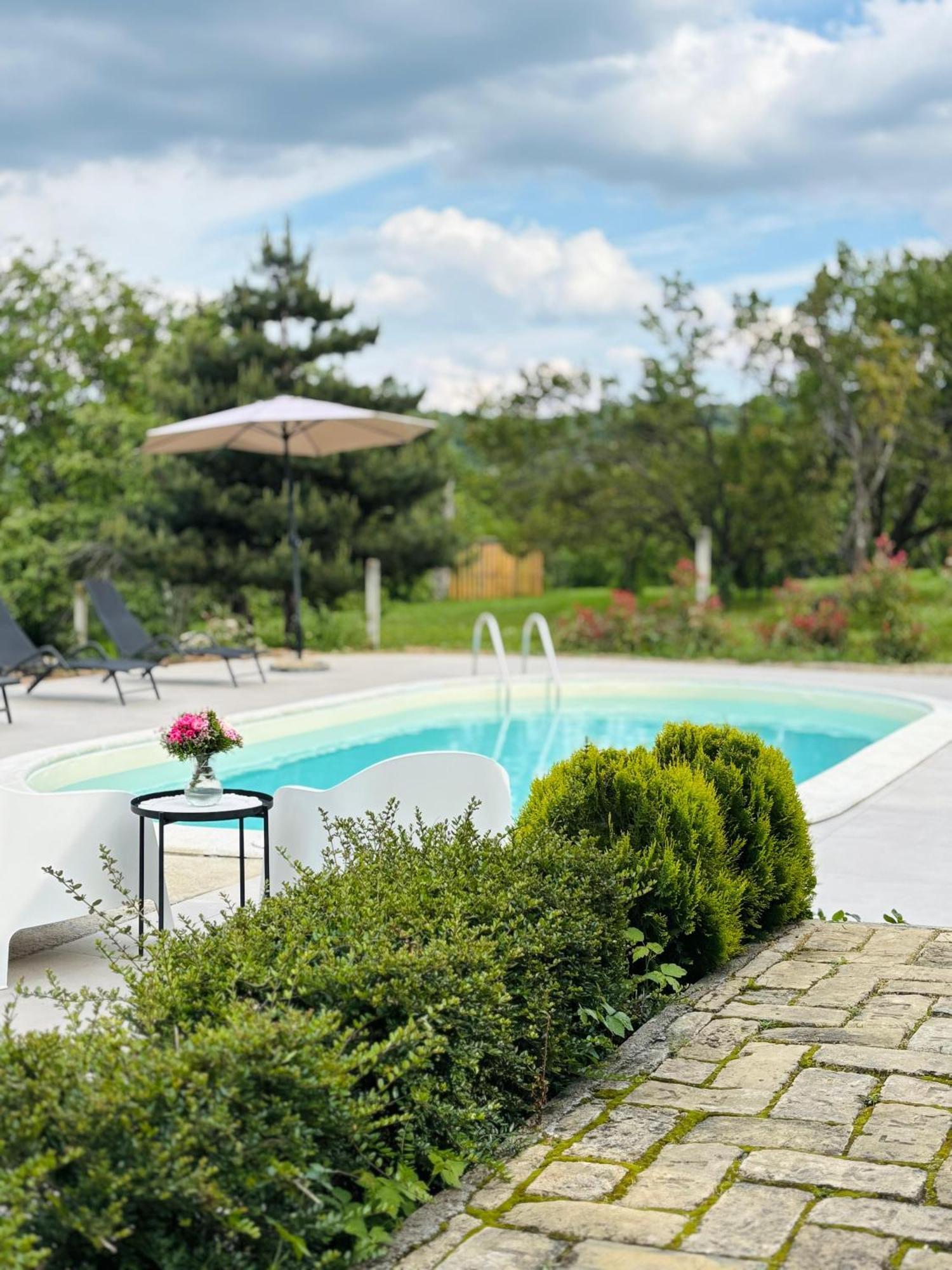 Villa Fruska Pool House Sremska Kamenica Esterno foto
