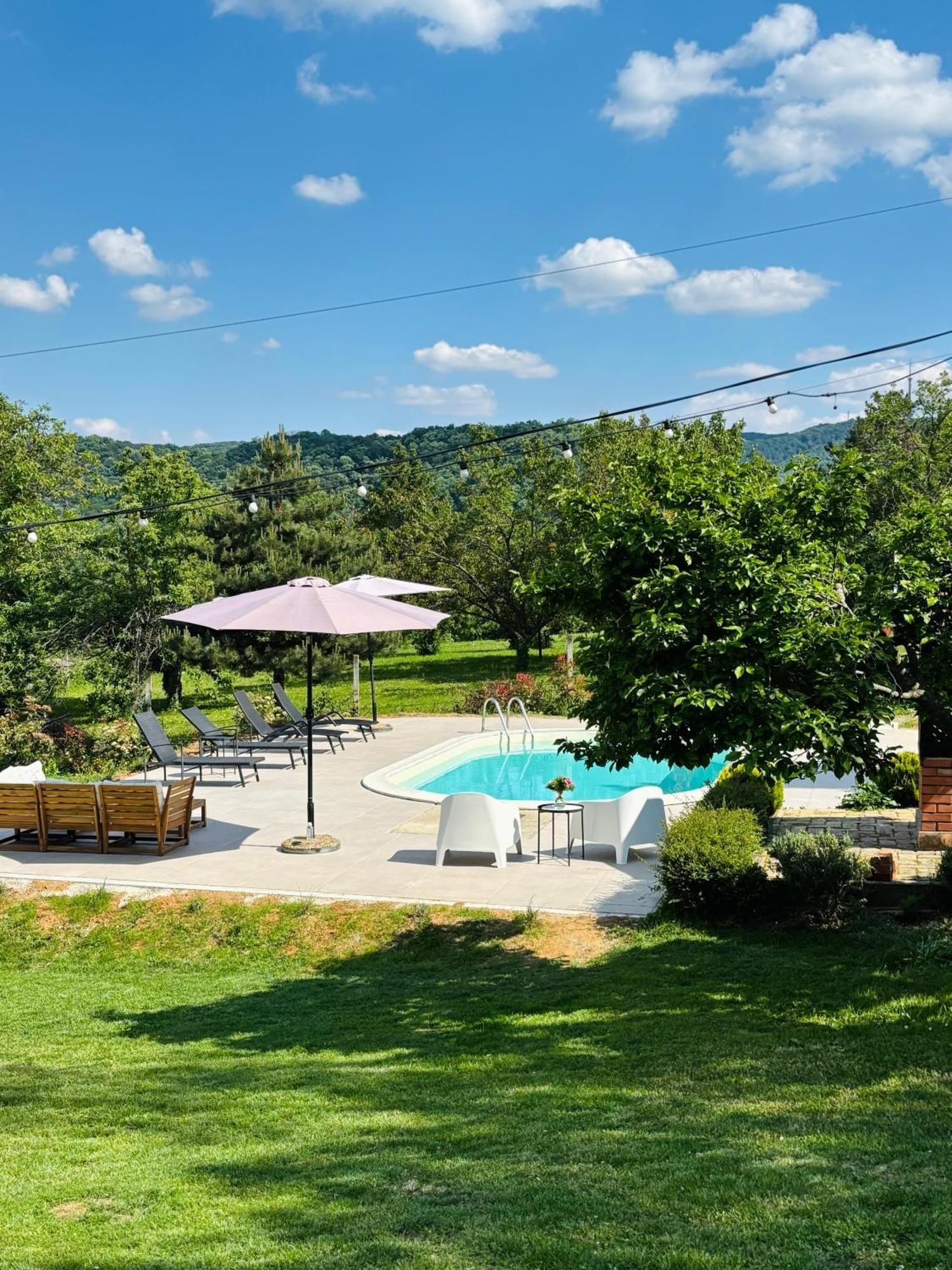 Villa Fruska Pool House Sremska Kamenica Esterno foto