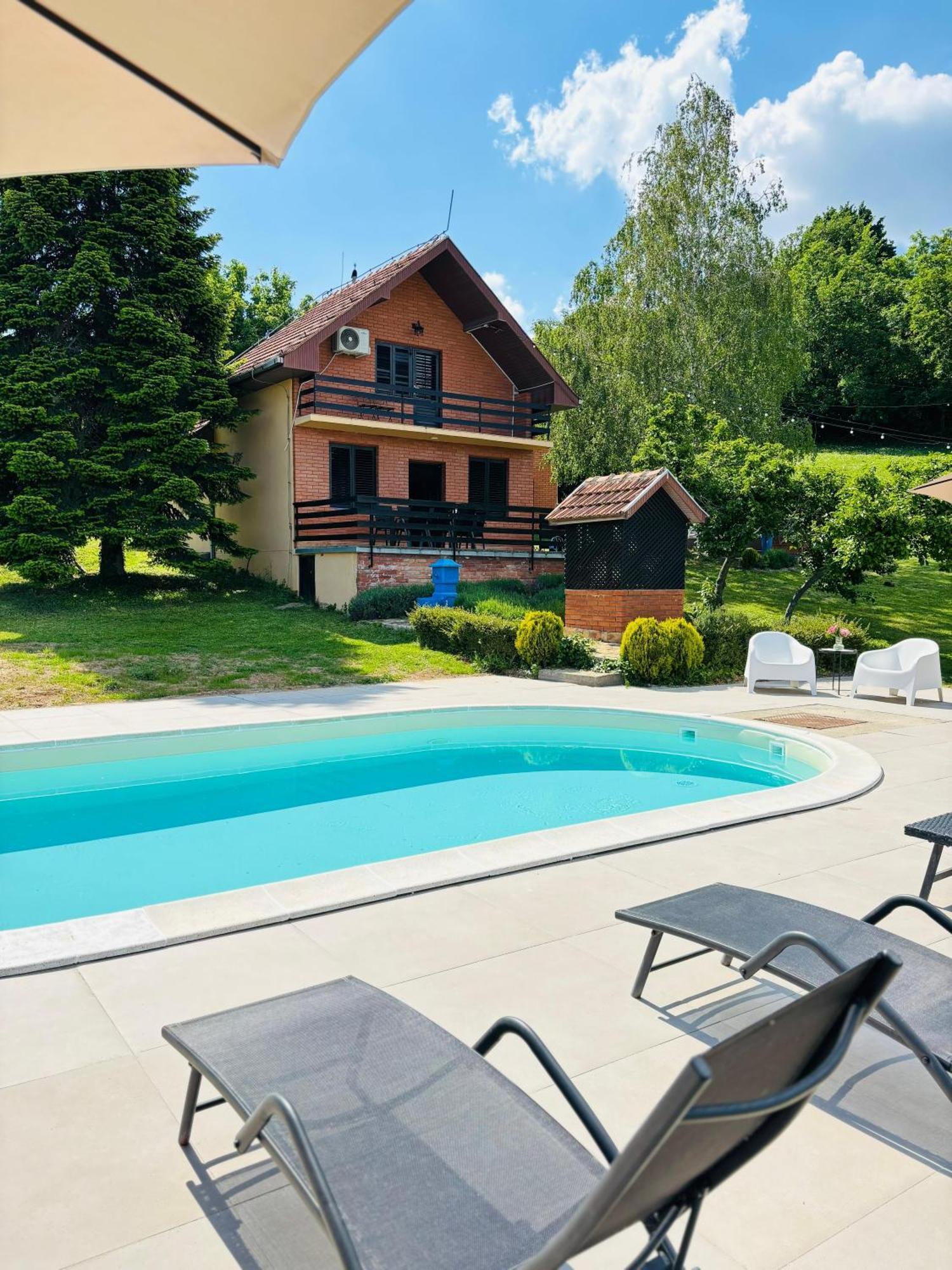 Villa Fruska Pool House Sremska Kamenica Esterno foto